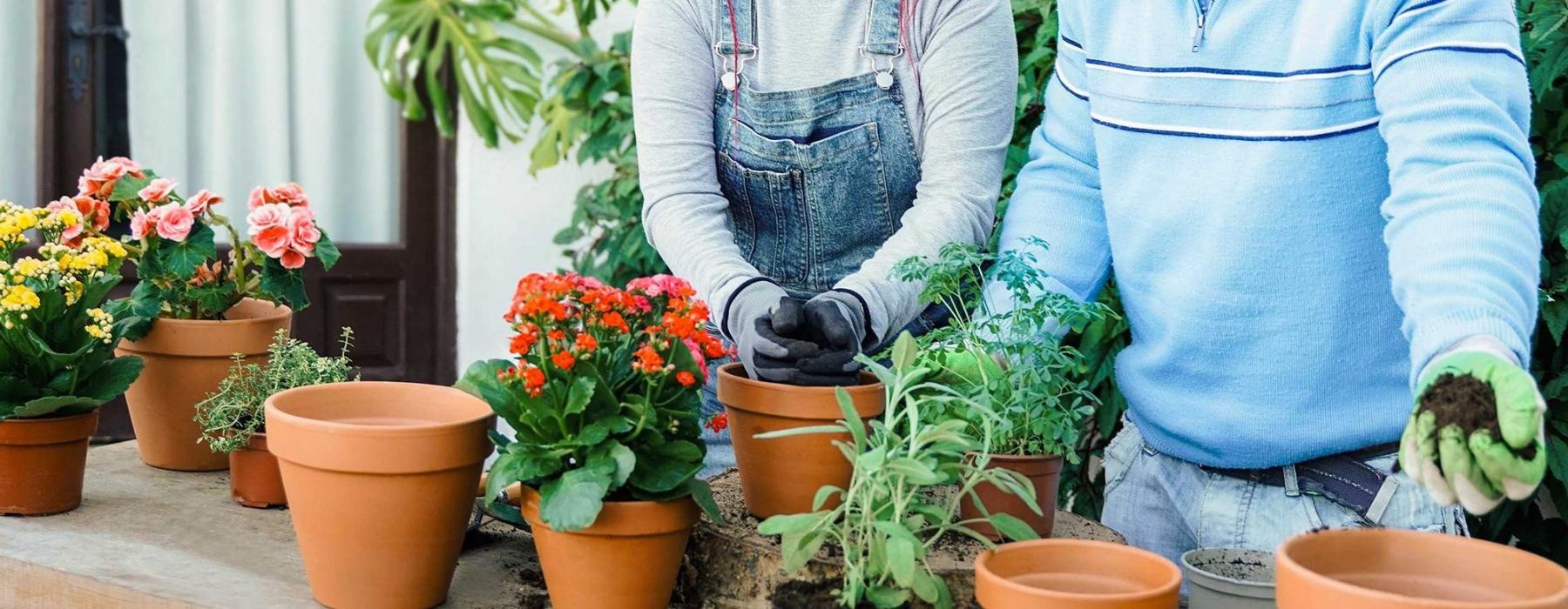 a man and a woman smiling while gardening