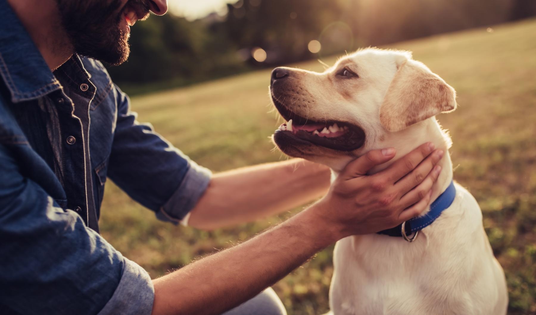 a man holding a dog