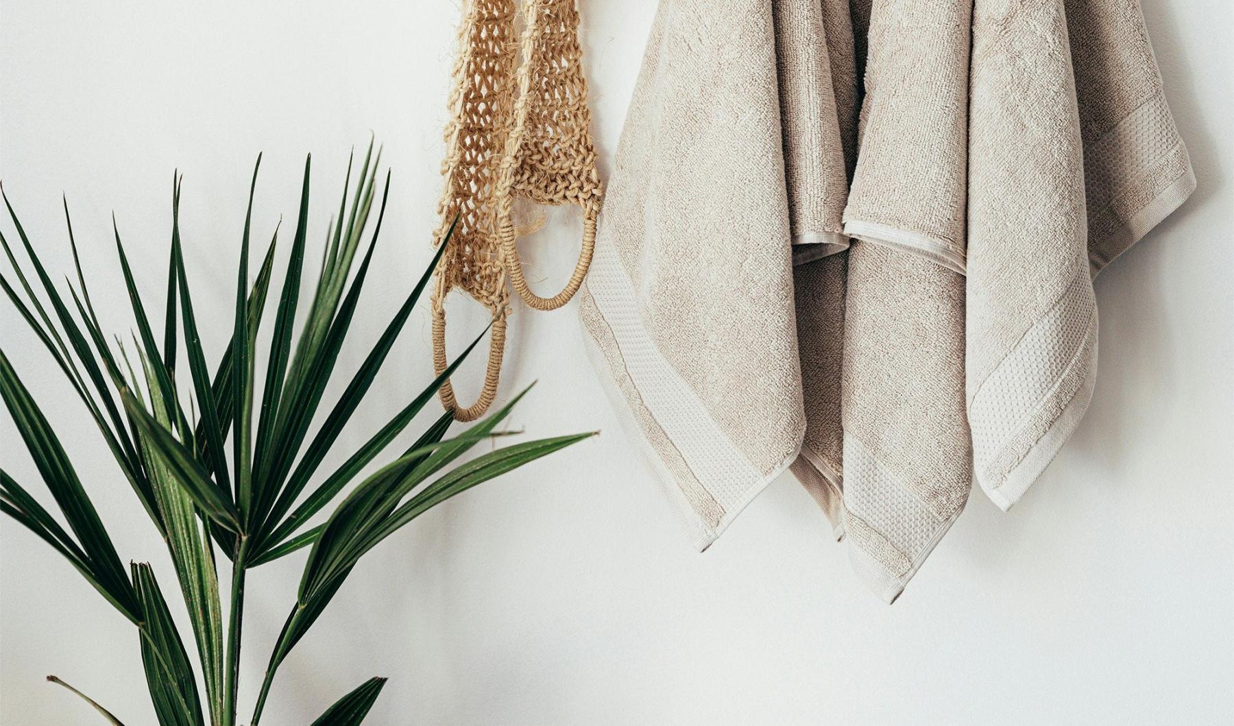 towels hanging on a wall near a plant
